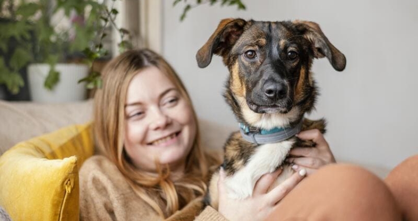 Franquicia vs. Copago en el Seguro de tu Mascota